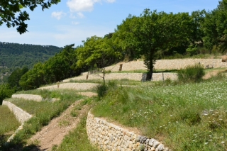 Mur en Pierres seches de Provence